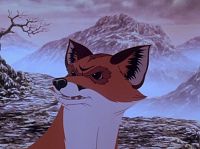 Die Hunde sind los [DVD], 5