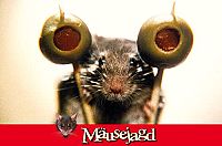 Mäusejagd [Blu-ray], 5