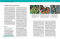 Das grosse GU Praxishandbuch Terrarium, 4