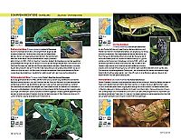 Safari-Reiseführer Ostafrika, 7