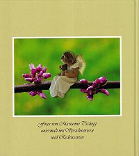 Elena Elfenkind - Ein Kinderbuch für Erwachsene, 1