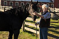 Midnight Stallion - Der König der Pferde [Blu-ray], 9