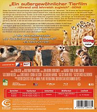Die Königin der Erdmännchen [Blu-ray], 1