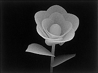 Das magische Auge, 3