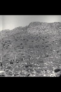 Alexis Sorbas [DVD], 4