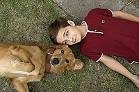 Bailey - Ein Freund fürs Leben [DVD], 3