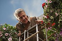 Un amour de tortue [DVD], 5