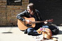 Bob, der Streuner, 2