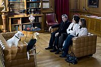 Der kleine Haustyrann [Blu-ray], 2