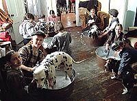 Les 12 chiens de Noël [DVD], 6