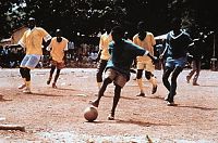 Bando und der goldene Fussball [DVD], 2