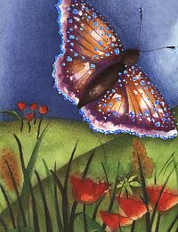 Die kleine Raupe, die kein Schmetterling werden wollte, 3