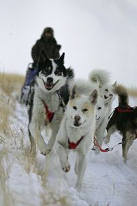 Odyssee durch Sibirien [DVD], 7