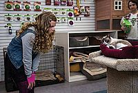 Grumpy Cats miesestes Weihnachtsfest ever [DVD], 7