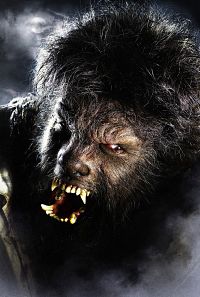Wolfman [DVD], 3