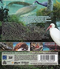 Abenteuer Everglades - Die Manatis des Crystal River [Blu-ray 3D], 1