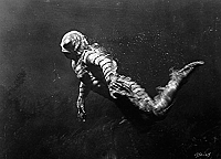 Der Schrecken vom Amazonas [Blu-ray], 7