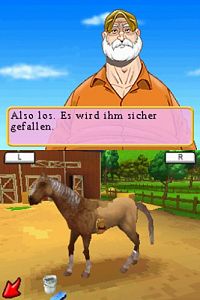 Abenteuer auf dem Reiterhof - Das schwarze Wildpferd [Nintendo DS], 3