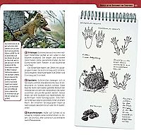 Tierspuren erkennen & bestimmen, 3