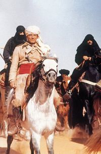 Das Geheimnis der Sahara [DVD], 3