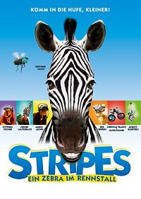Stripes - Ein Zebra im Rennstall [DVD], 1