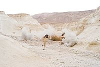 Essential Killing [Blu-ray], 2