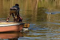 Summer shark attack [Blu-ray], 2