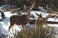 Amerikas Südwesten - Vom Grand Canyon bis zum Death Valley [Blu-ray], 6
