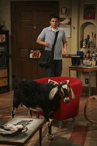 How I Met Your Mother - Staffel 4 [DVD], 3