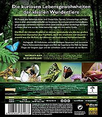 Big Bugs 3D - Kleine Krabbler ganz groß [Blu-ray 3D], 4