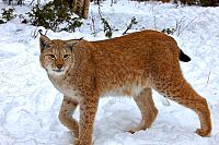 Norwegen 3D [Blu-ray 3D], 2