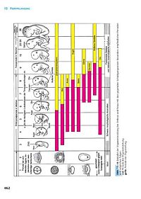 Handbuch Anatomie - Bau und Funktion des menschlichen Körpers, 4