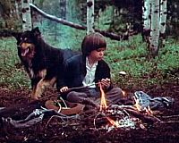 Die Erbschaft in Oregon  [DVD], 2