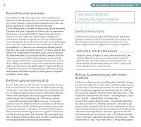 Laborwerte: Alles über Normbereiche, Befunde und Co. , 5