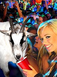 Blue Mountain State - The rise of Thadland [Blu-ray], 5