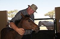 Tamme Hanken  [DVD], 4