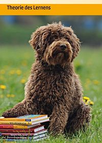 Hundeschule: Motivieren, erfolgreich erziehen, Verhalten formen mit dem Clicker, 4