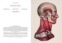 Atlas of Human Anatomy and Surgery, 1