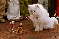 Stuart Little 2 [Blu-ray], 1