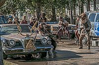 The Domestics [DVD], 5