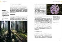 Der grosse Fotokurs: Besser fotografieren lernen , 6