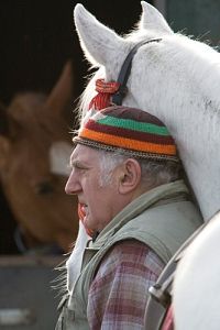 Wo ist Winkys Pferd? [DVD], 5