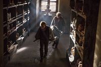 Die Hebamme [DVD], 6