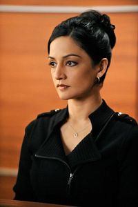 The Good Wife - Staffel 1.1 [DVD], 5