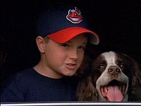 Wunder Hunde - Eine magische Geschichte [DVD], 7