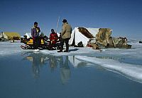 Königreich Arktis [DVD], 4