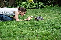 Grow Up!? [Blu-ray], 3