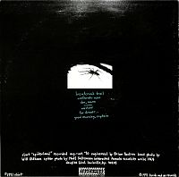 Spiderland [Vinyl], 1