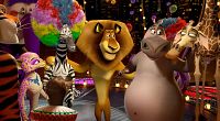 Madagascar 3 - Flucht durch Europa [Blu-ray], 8