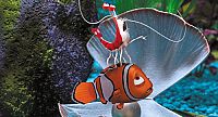 Findet Nemo [Blu-ray], 8